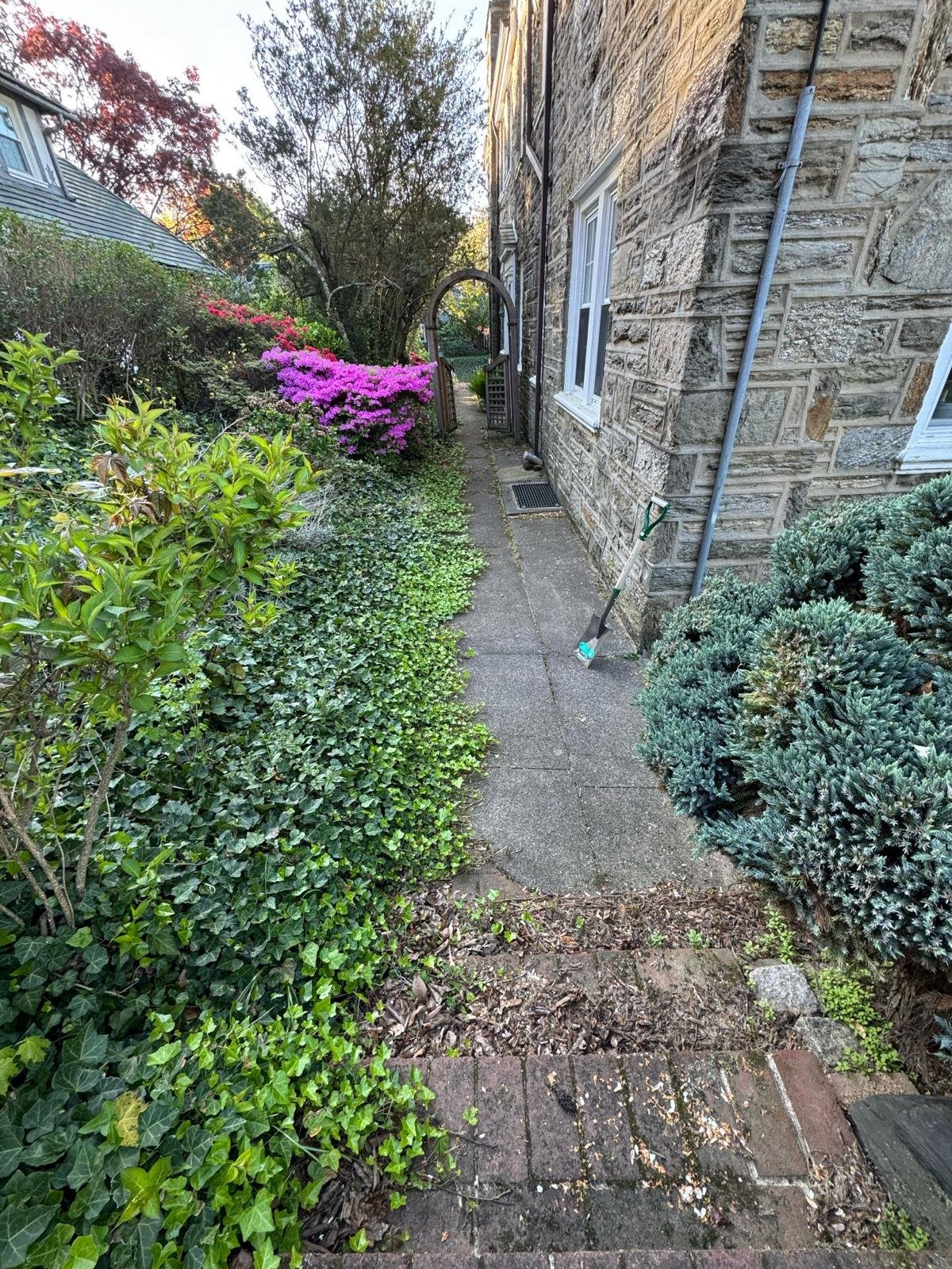 Yard cleanup work by Green Force Property Services